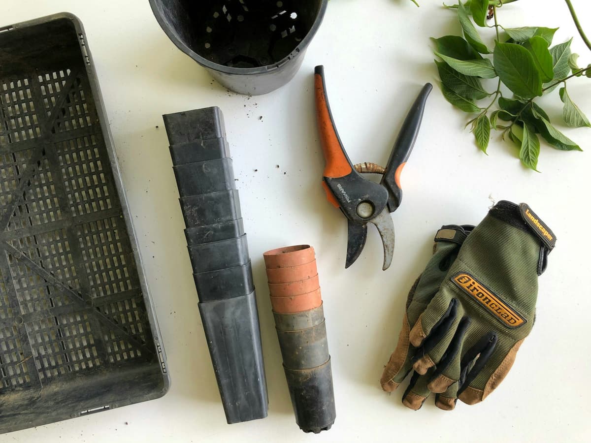 Must Have Tools for Every Gardener